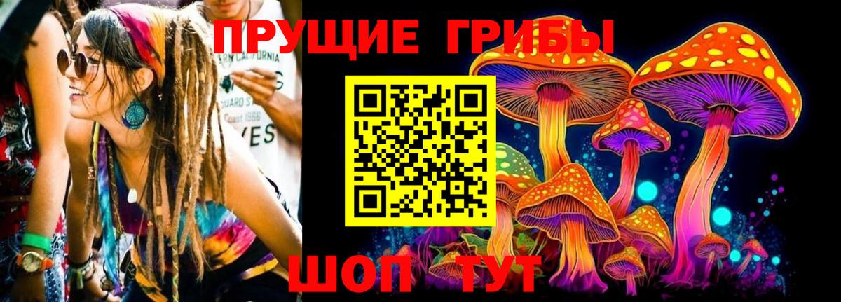 Гусиноозёрск  Галлюциногенные грибы мухоморы  Псилоцибиновые грибы Psilocybine cubensis  Вход с VPN 